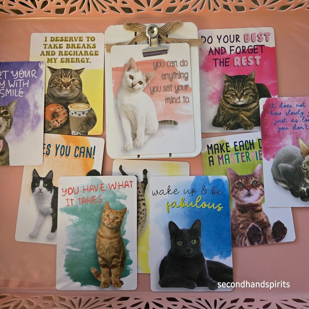 10 Hilarious Cat Motivational Cards with Clipboard Magnet Holder Set E